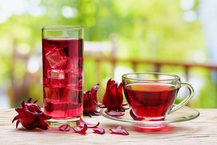 Himalyan Hibiscus - Ice & Regualar Hot Tisane