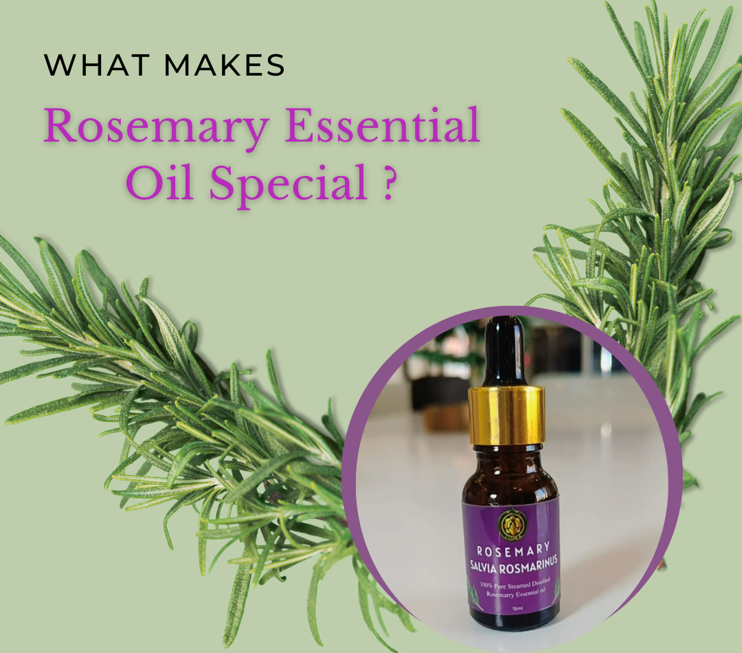 Exploring Rosemary Essential Oil: What Makes It Special?