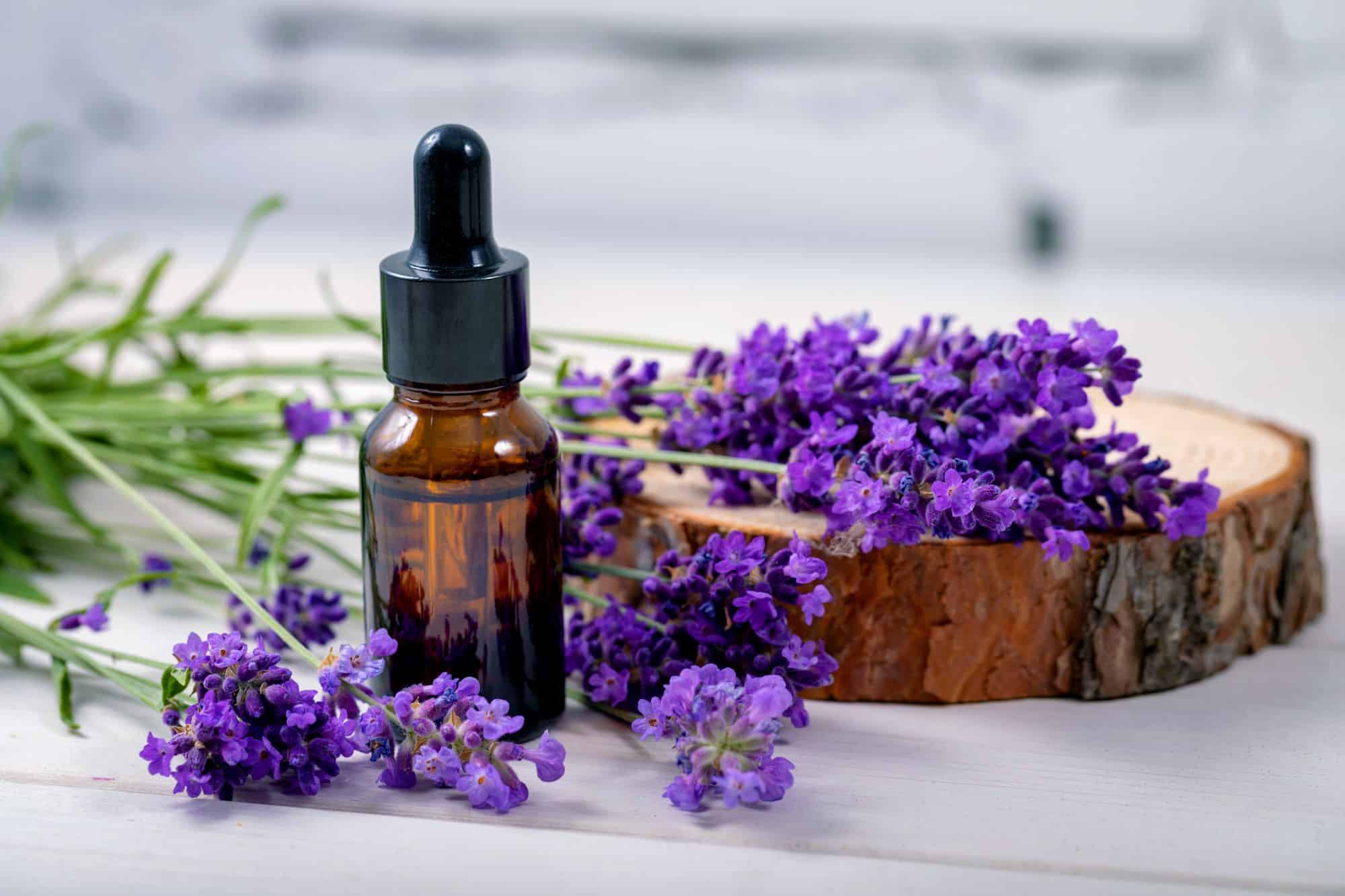 Exploring the Wonders of Lavender Essential Oil: Nature's Soothing Elixir