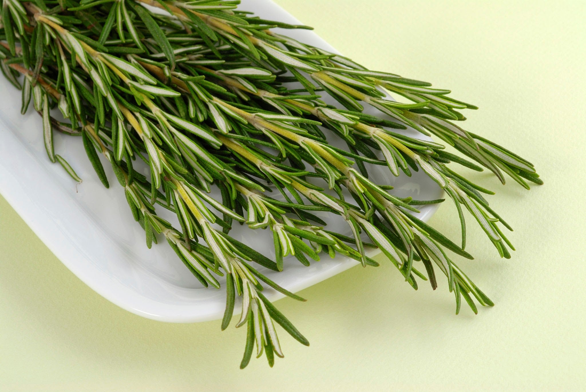 Rosemary Mist - A modern beauty routine and its benifits
