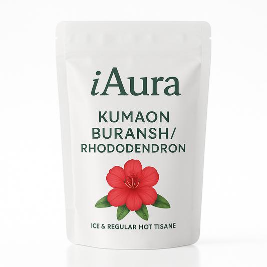 Kumaon Buransh / Rhododendron - Ice & Regualar Hot Tisane