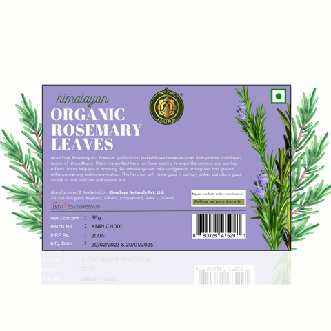 Himalayan Rosemary